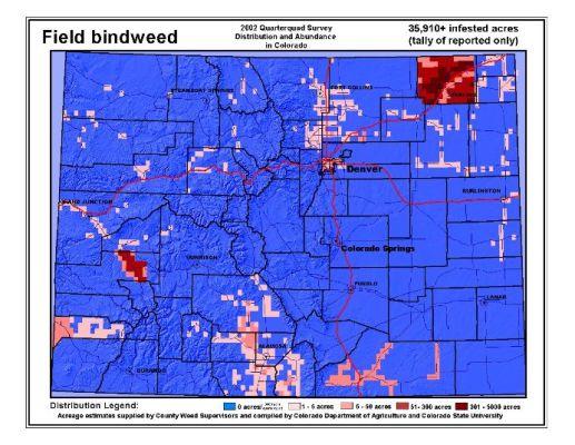 Field bindweed map