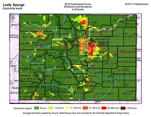 Leafy Spurge Map