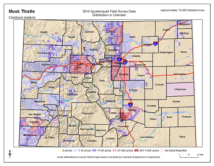 Musk Thistle Map