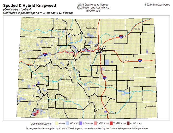 Spotted and Hybrid Knapweed_QQ Map