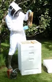 Beehive keeper