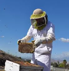 Beehive keeper