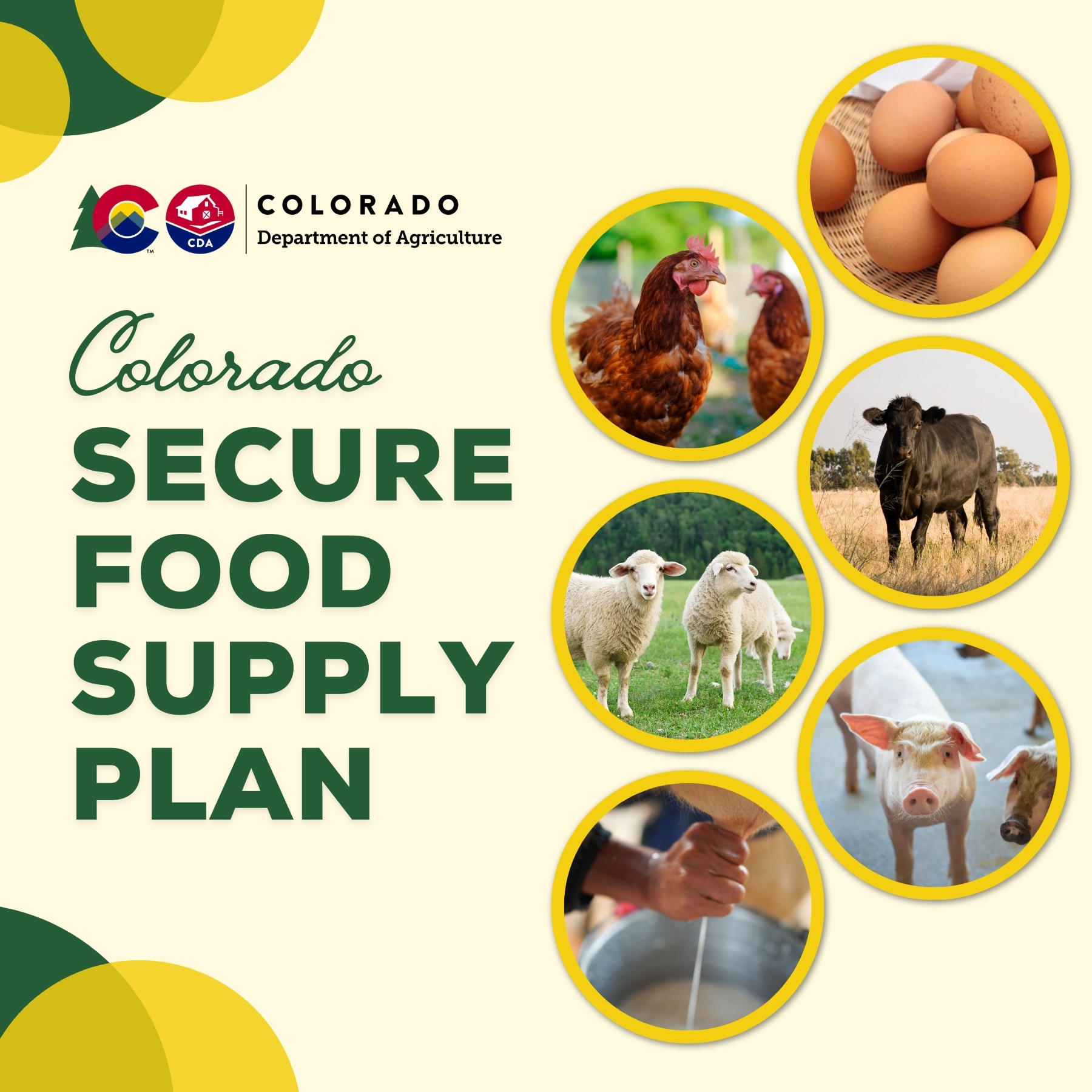 Images of eggs, poultry, beef cattle, lambs, pigs, and milk with CDA logo and words Colorado Secure Food Supply Plan