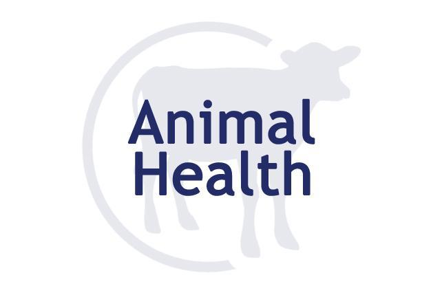 Animal Health icon of a cow in surrounded by an interrupted circle