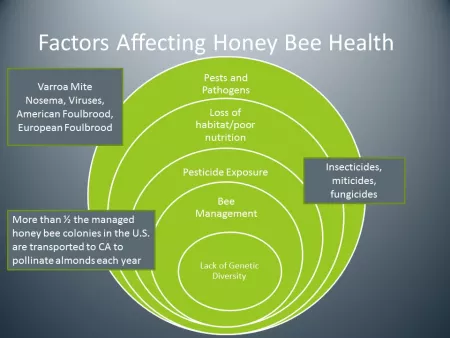 factors affecting honey bee health