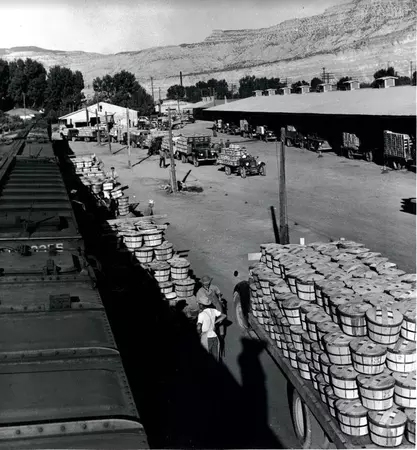 Black and white photo of peach growers on the Western Slope stand alongside baskets of product on truck beds and wagons.