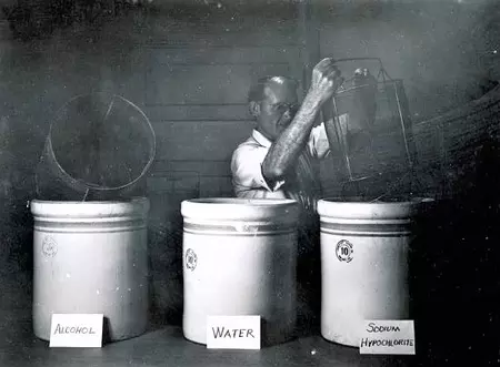 Male stands behind a table of three containers labeled "alcohol," "water," and "sodium hypochlorite," pouring contents of a screen container into the sodium hypochlorite bucket.