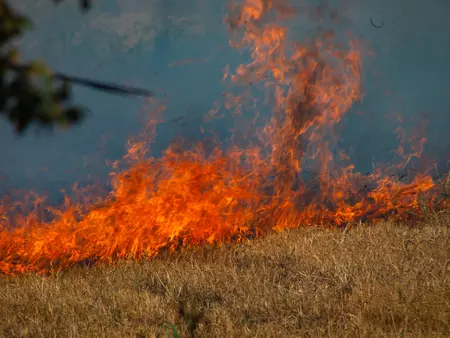 Flames in a dry burning field, photo by Linda Snodgrass.