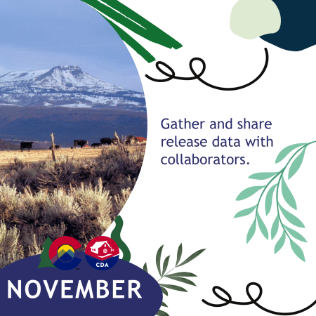 November: Gather and share release data with collaborators.