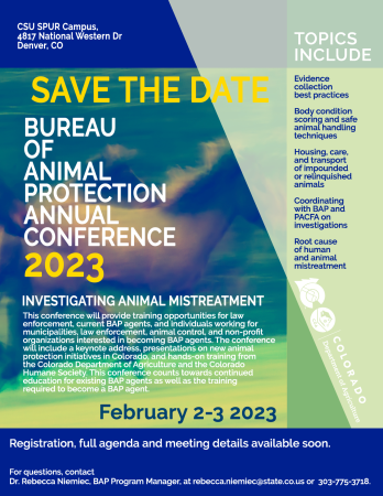 BAP Conference Flyer image