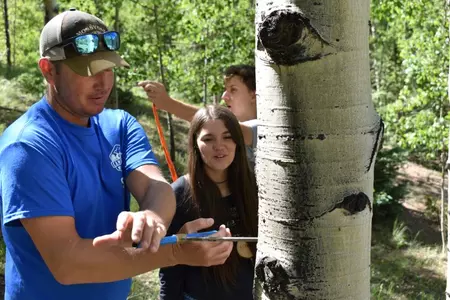 An instructor shows students how to retrieve a core sample from a tree at Camp Rocky 2023