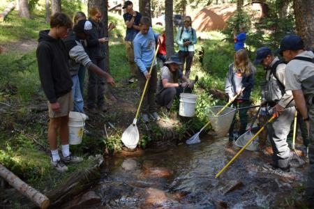 Students and instructors stand in and near a stream with fish nets and buckets to study the species composition of local fish