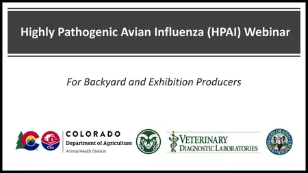Title slide of the Highly Pathogenic Avian Influenza (HPAI) Webinar for backyard and exhibition producers. Partnership between CDA's Animal Health Division, CSU's Veterinary Diagnostic Laboratories, and Colorado Parks and Wildlife