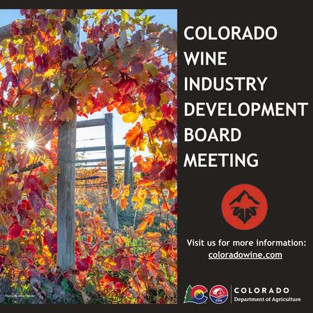 Graphic shows rays of sunshine peeking through bright fall leaves in a vineyard with text of the event's title and website.