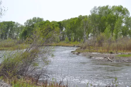 A stretch of the Conejos River outside the town of Manassa