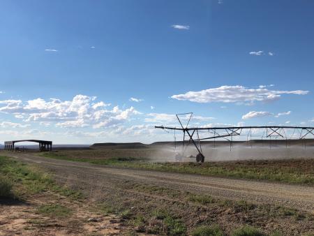 A dirt road runs along a field with a running irrigation sprinkler against a partly cloudy sky backdrop.
