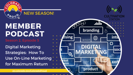 Digital Marketing Strategies:  How To Use On-Line Marketing for Maximum Return