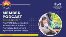 The STEAD School