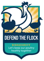 Defend the Flock badge: Biosecurity: Let's keep our poultry healthy together