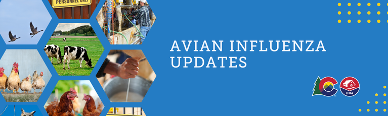 Banner with decorative images related to poultry and dairy farms for the Avian Influenza Updates webpage