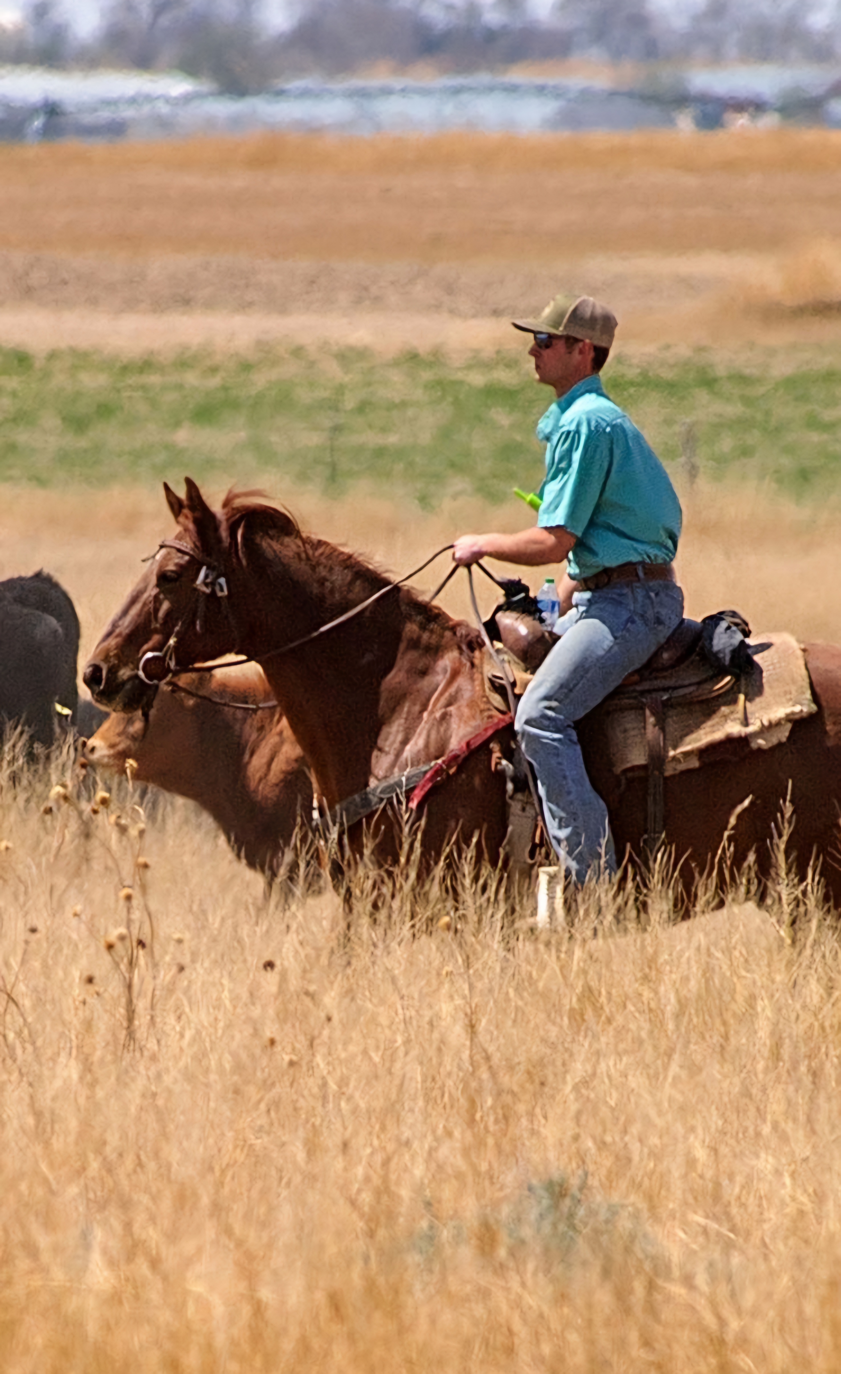 Riley May rides horseback on his ranch